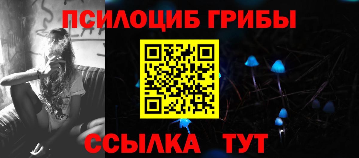 Псилоцибиновые грибы Psilocybe Йошкар-Ола