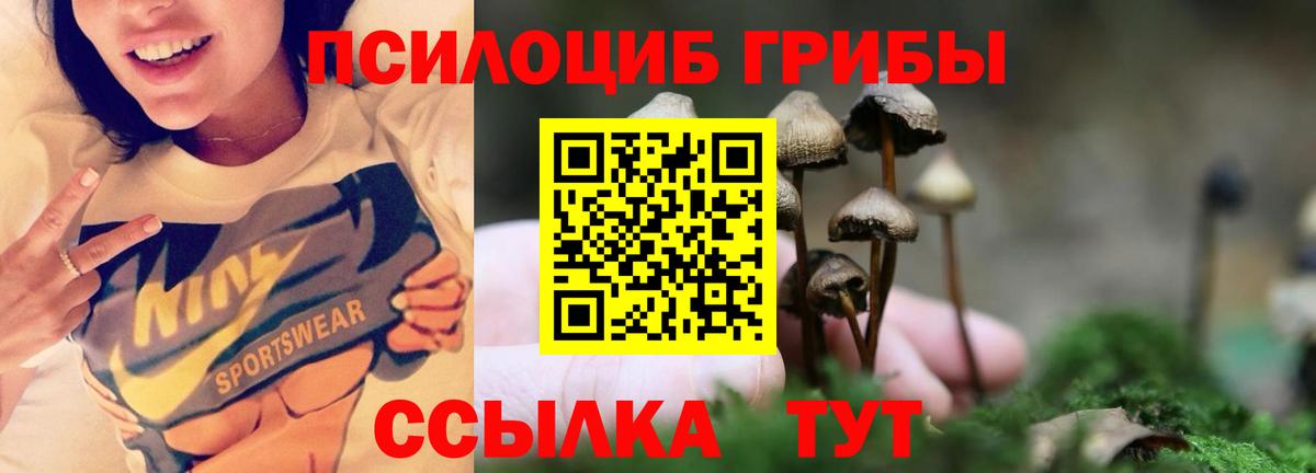 Псилоцибиновые грибы Psilocybine cubensis  Галлюциногенные грибы MAGIC MUSHROOMS  Йошкар-Ола  Вход с VPN 